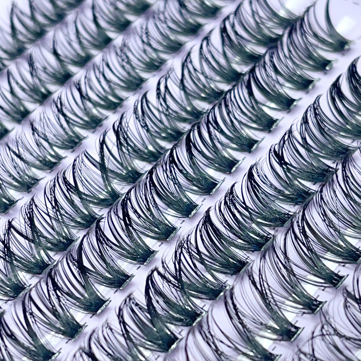 SX01 DIY Cluster Lashes (8mm-16mm mixed) D curl