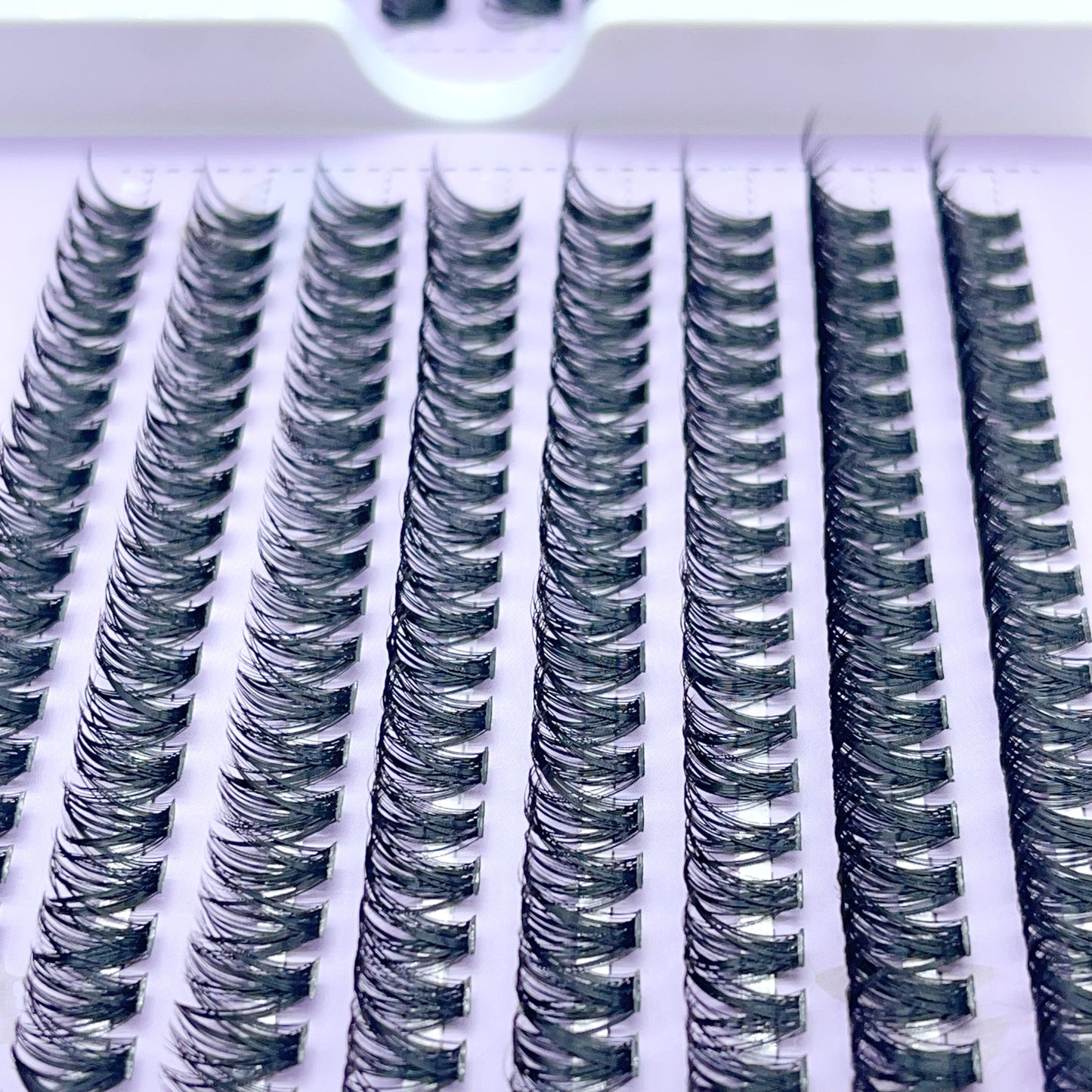 SX02 DIY Cluster Lashes (8mm-16mm mixed) D curl