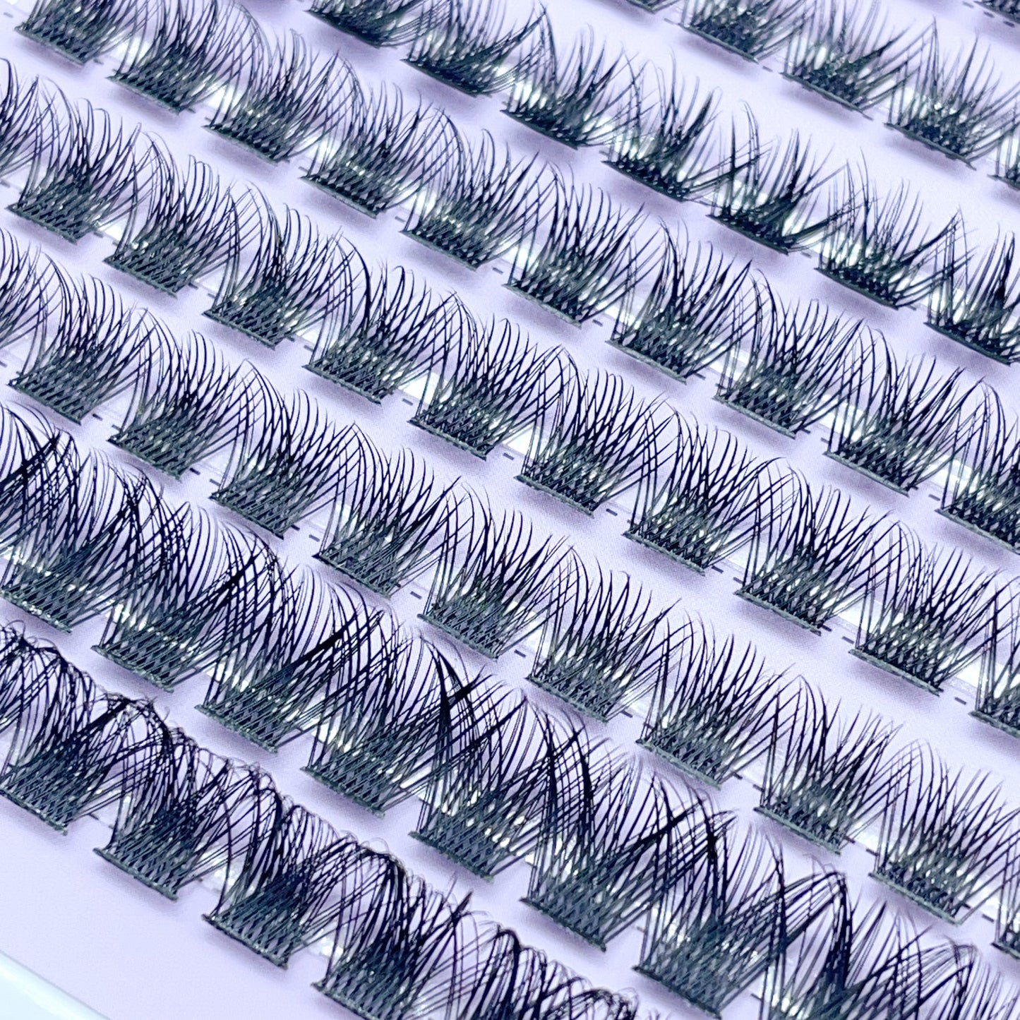 SX07 DIY Cluster Lashes (8mm-16mm mixed) D curl