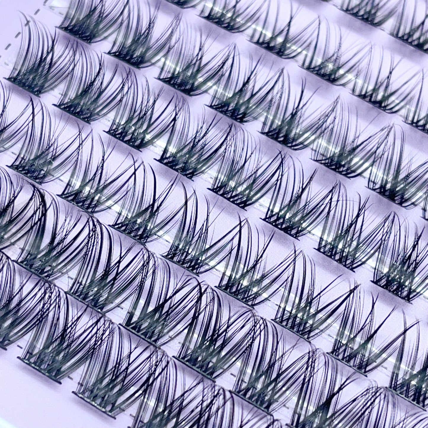 SX10 DIY Cluster Lashes (8mm-16mm mixed) D curl