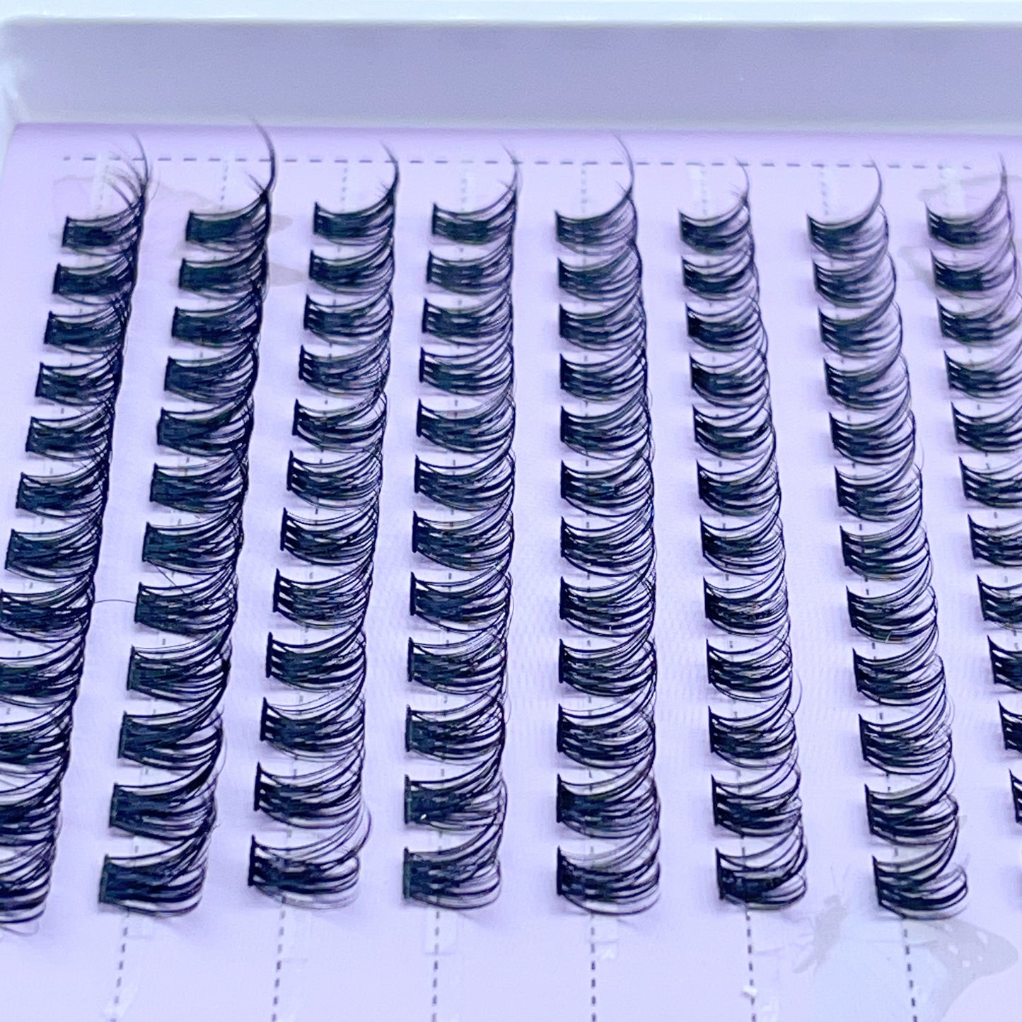 SX12 DIY Cluster Lashes (8mm-16mm mixed) D curl
