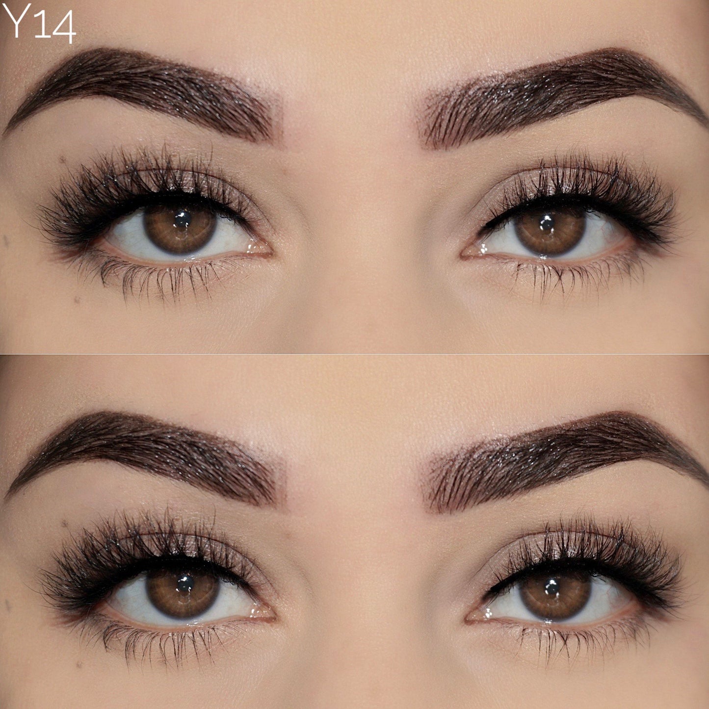 12mm mink lashes Y14